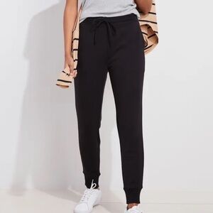 Limited Edition Vineyard Vine Joggers